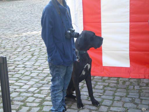 Kleintierschau 2011