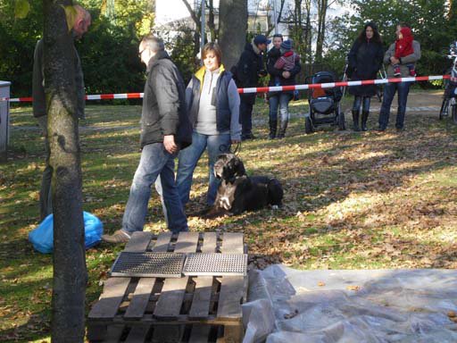 Kleintierschau 2011