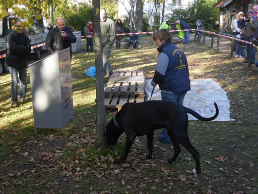 Kleintierschau 2011