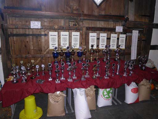 Kleintierschau 2011