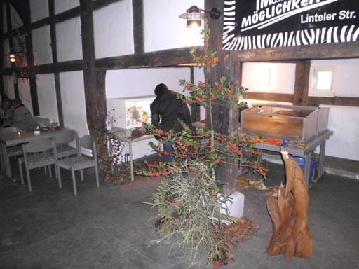 Kleintierschau 2011