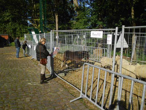 Kleintierschau 2011