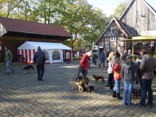 Kleintierschau 2011