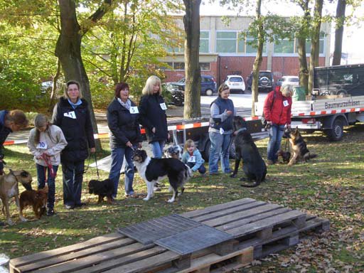 Kleintierschau 2011