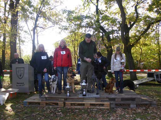 Kleintierschau 2011