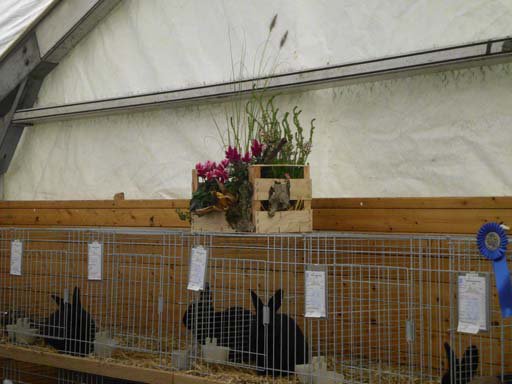 Kleintierschau 2011
