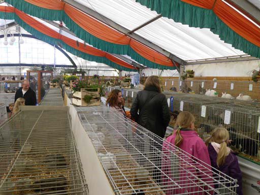 Kleintierschau 2011