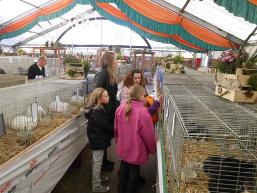 Kleintierschau 2011