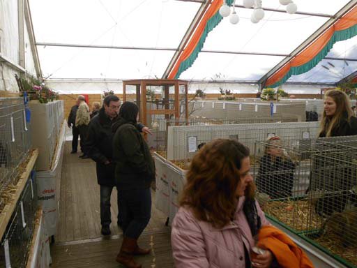 Kleintierschau 2011
