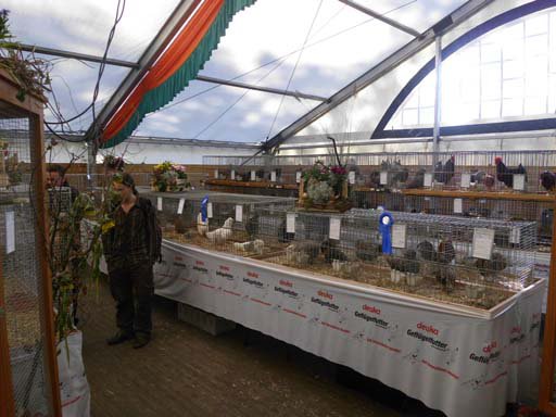 Kleintierschau 2011