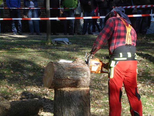 Kleintierschau 2011