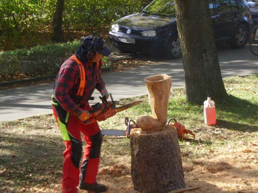 Kleintierschau 2011