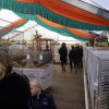 Kleintierschau 2011