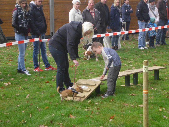 Kleintierschau 2014
