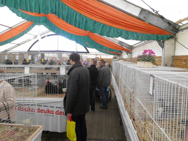 Kleintierschau 2014